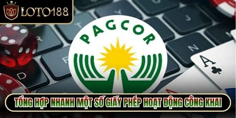 Tổng hợp nhanh một số giấy phép hoạt động công khai hiện nay